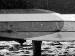 Roland D.VIa - Jasta 23b. Detail tailplane right (Greg VanWyngarden)